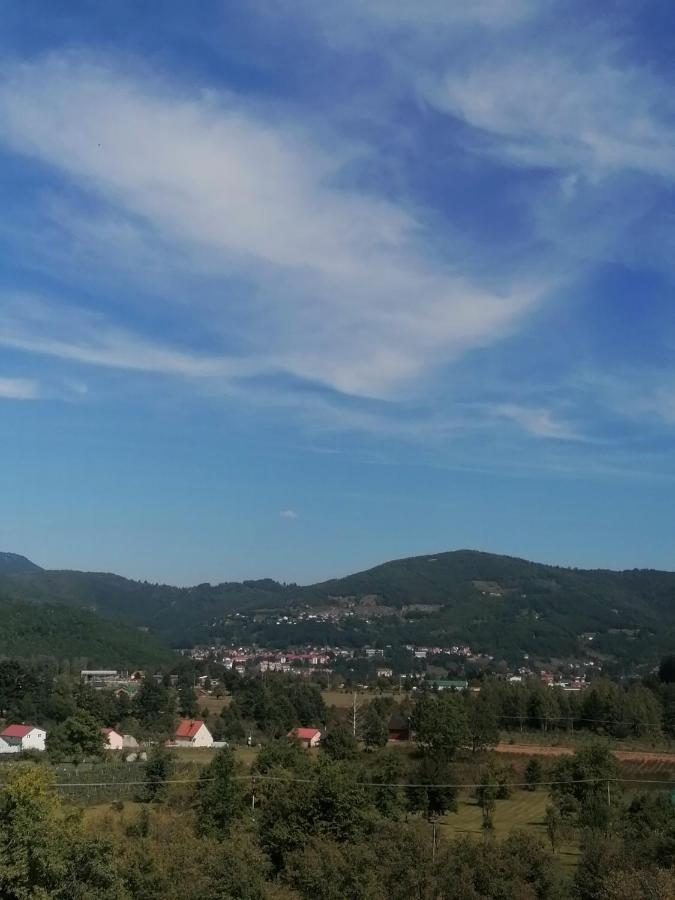 Log 2 Merdovic *